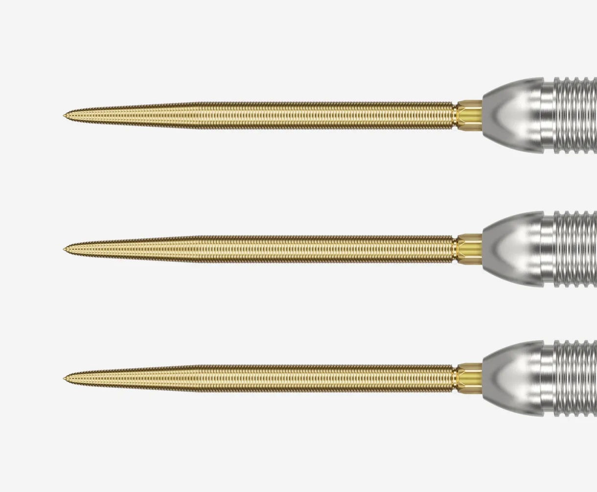 Target Darts - Swiss Nano Points 2021 Version